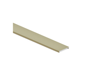 Próbka profilu maskującego Channel Placard 74 do dolnej szyny, długość 10cm, Aluminium, Złoty anodowany