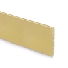 Próbka cokołu kuchennego Plasline 10 cm, wysokość 100 mm, Plastik Złoty